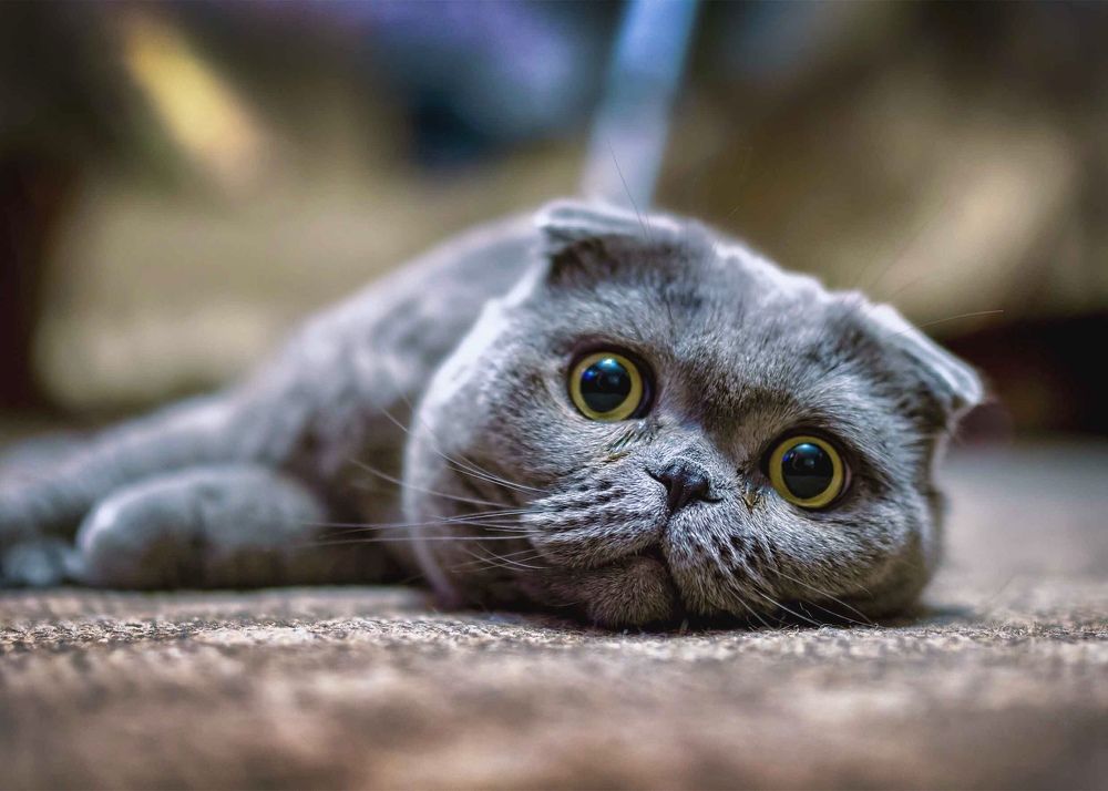 Photograph by Valery Pegushev