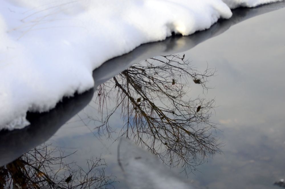 Photograph by Nadezhda