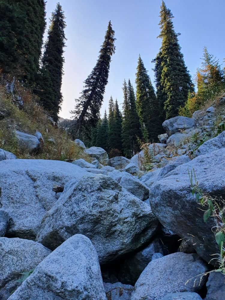 Фотография автора Алексей Дегтярёв