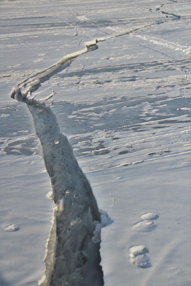 Photograph by Анна Березина