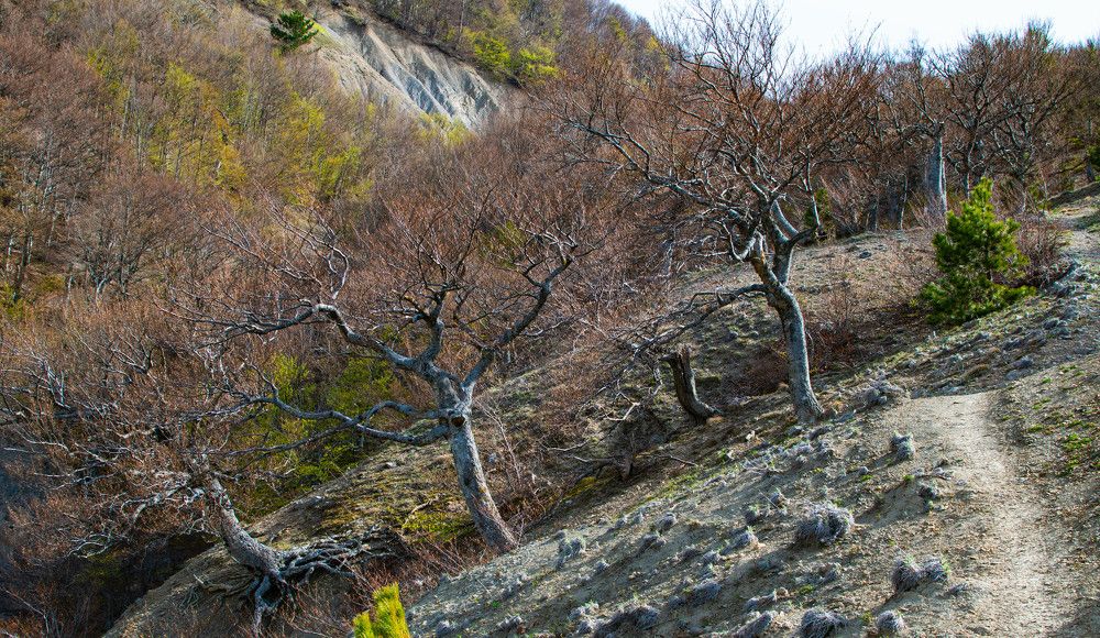 Photograph by Владимир Жигулин