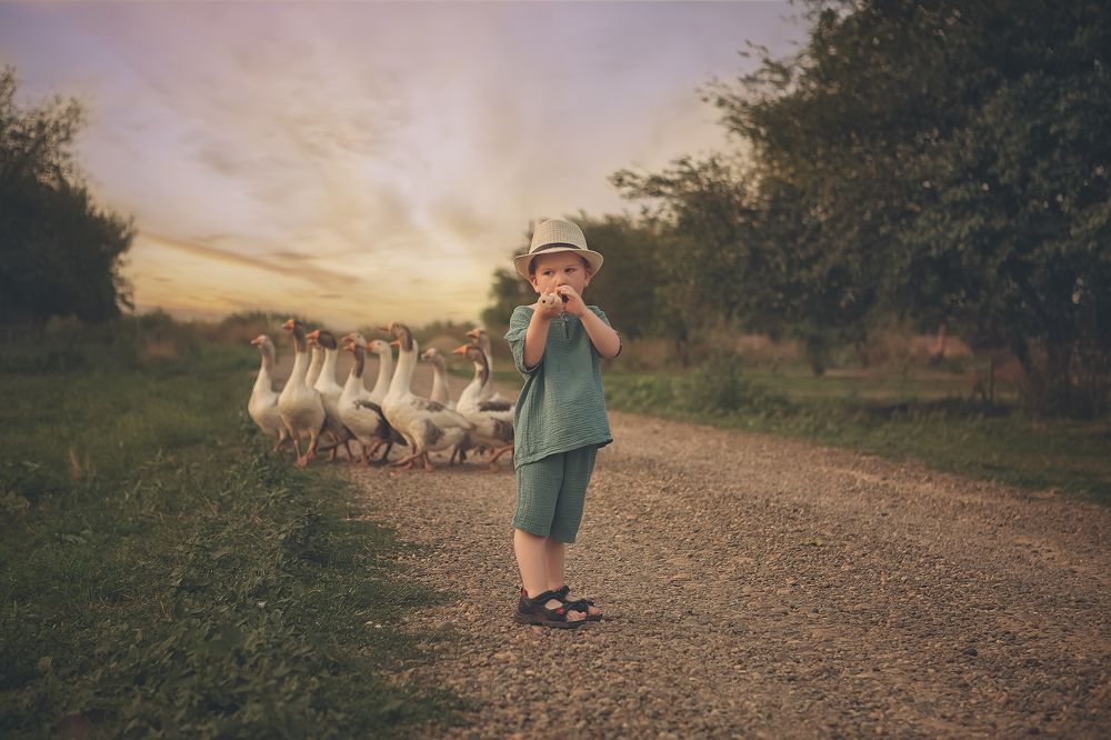 Ах,гуси мои гуси