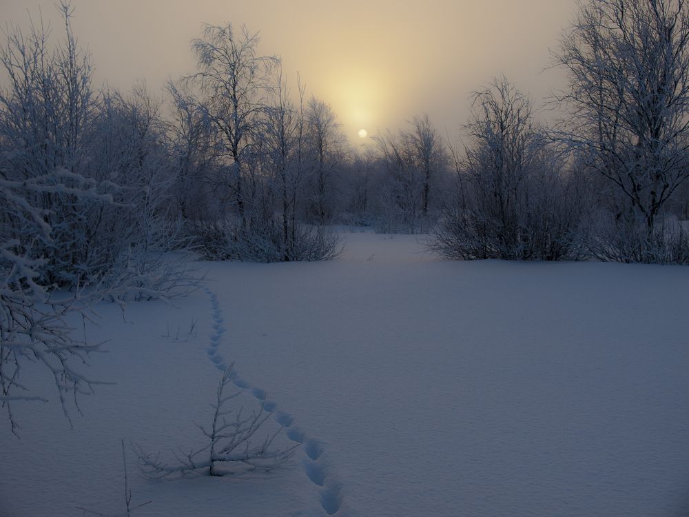 Photograph by Александр