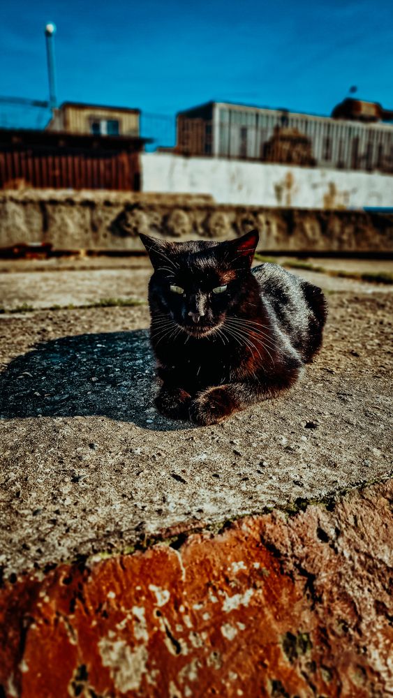 Фотография автора Всеволод Юрша