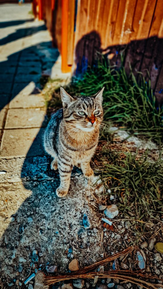 Фотография автора Всеволод Юрша