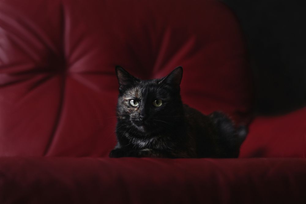 Photograph by Татьяна Степанова