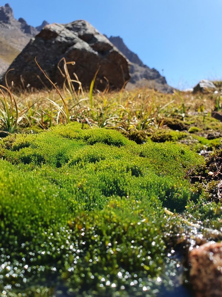 Фотография автора Алексей Дегтярёв