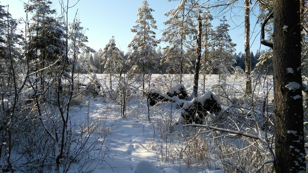 Photograph by Владимир Гречанинов