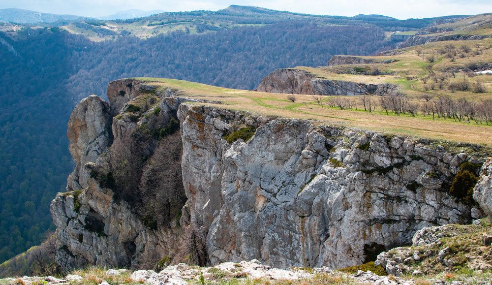 Photograph by Владимир Жигулин