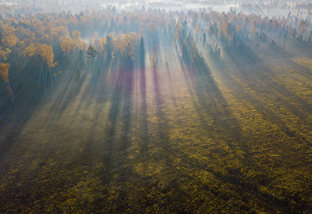 Photograph by Сергей Фаренюк