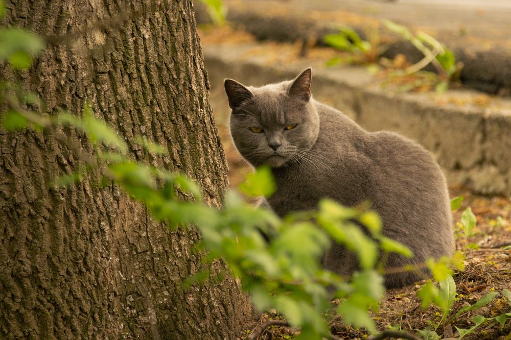 Photograph by Lukas Kulla