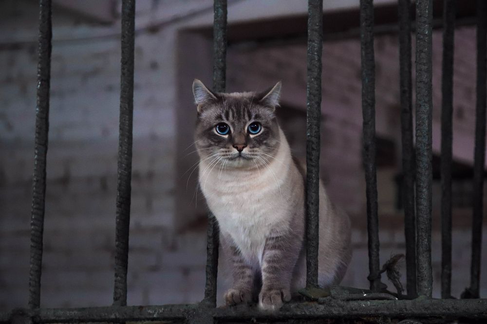 Photograph by Евгения Сенченко