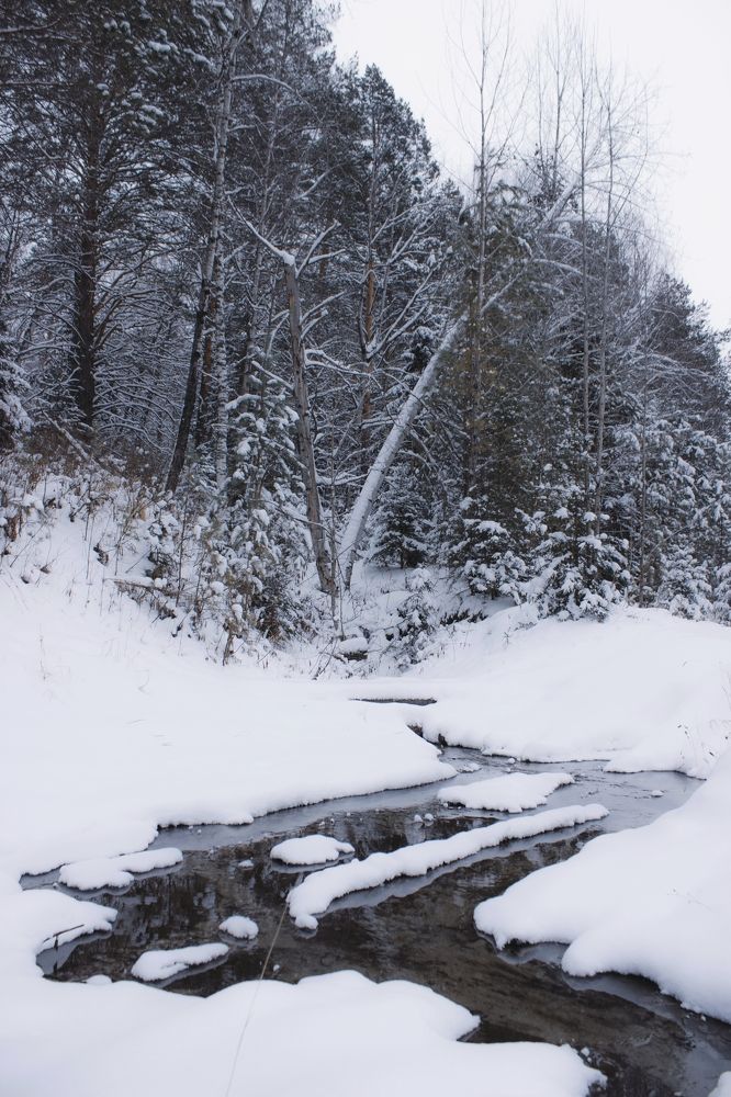 Photograph by Фистина Мария