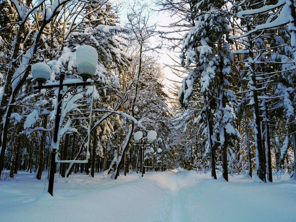 Фотография автора Olena Vorotyntseva