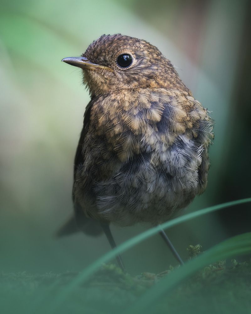 Photograph by Поляков Михаил