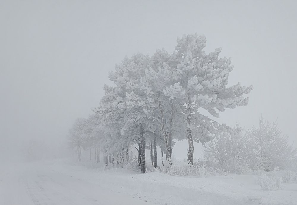Photograph by Юрий Гау