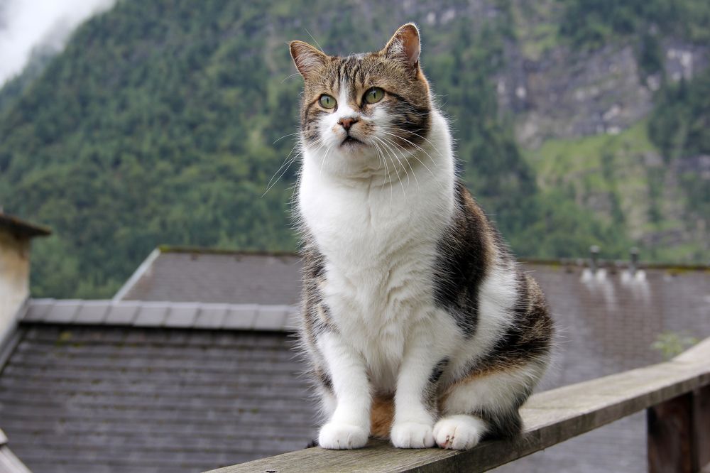 Photograph by Сергей Иванов