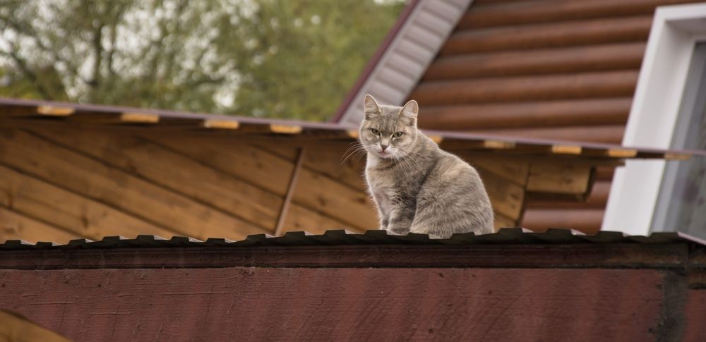 Photograph by Михаил Лавренков