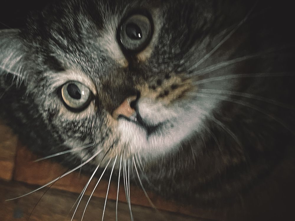 Photograph by Элеонора Ер