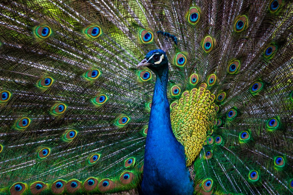 Photograph by Дмитрий Григорян