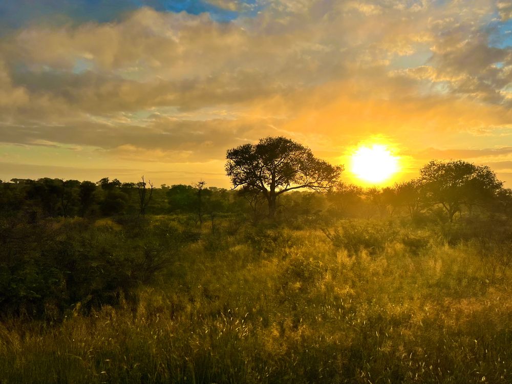 Photograph by Ирина Худзинская