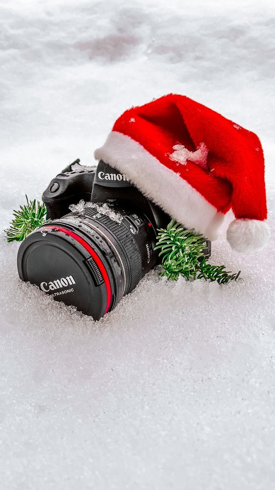 Photograph by Дарья Григорьева