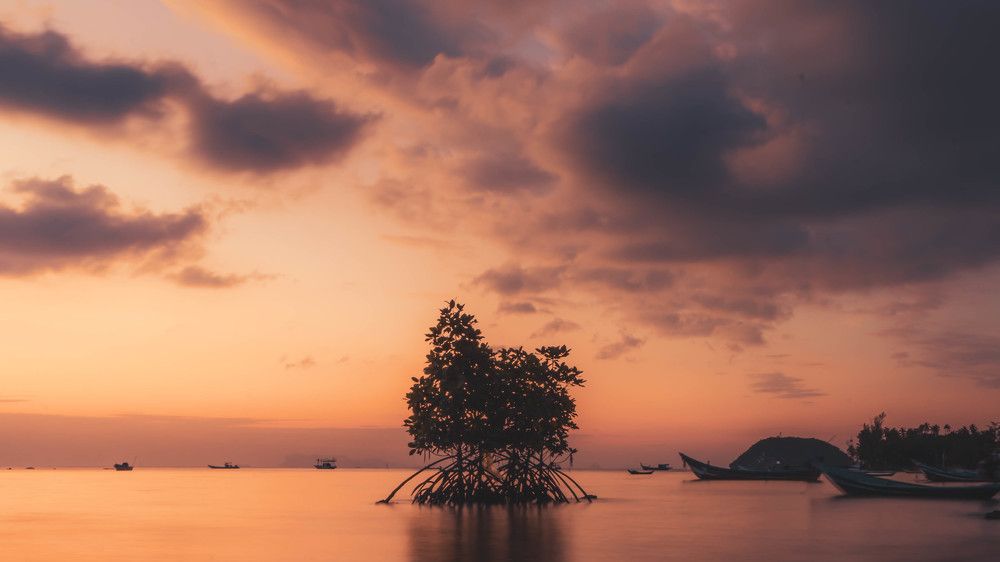 Photograph by Evgeniy Maymin