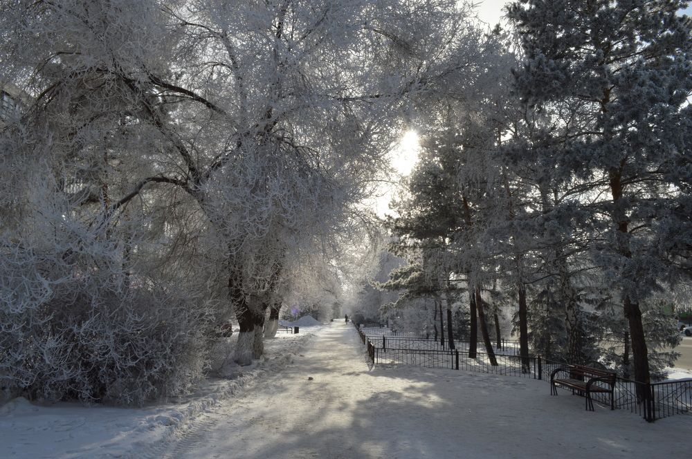 Photograph by Наталья