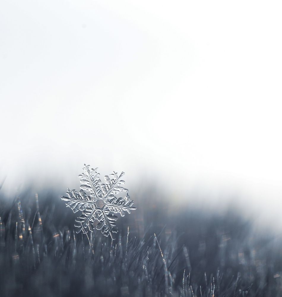 Photograph by Анастасия Чушкова