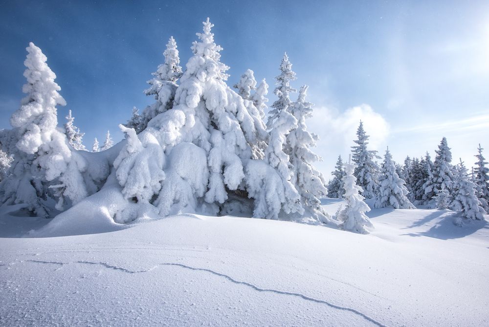 Photograph by Сергей Сынтин