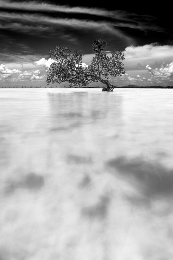 Photograph by Joseph Cheung