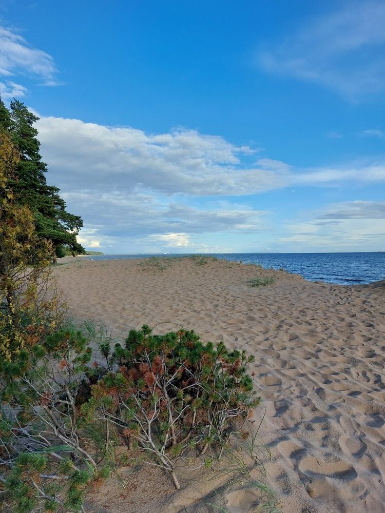 Photograph by Татьяна Олефиренко