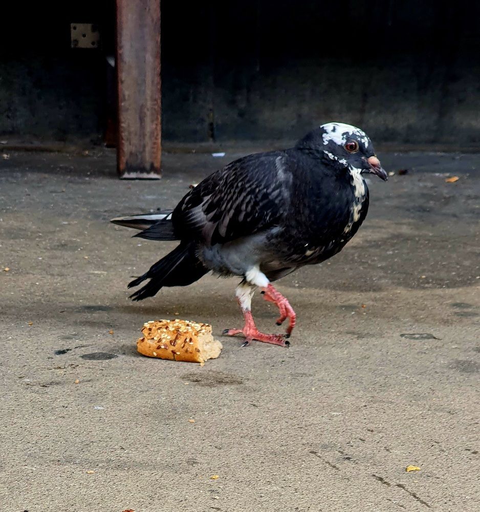 Photograph by Ghazal Ardeshirzadeh