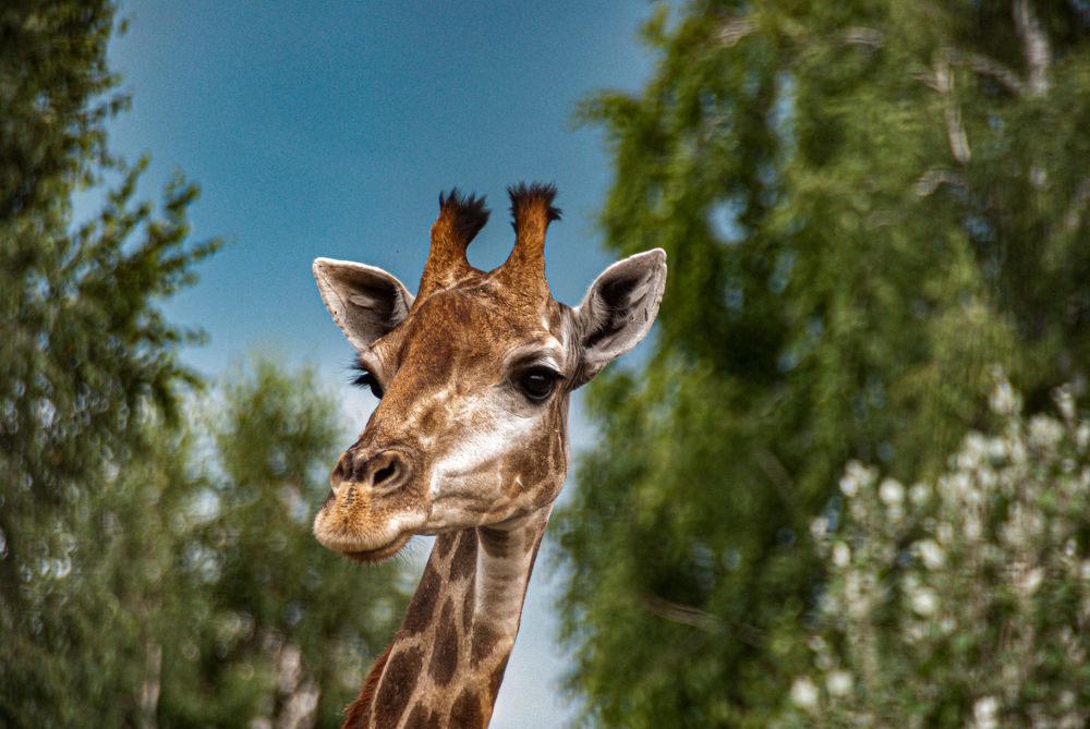 Photograph by Елена Берсенёва