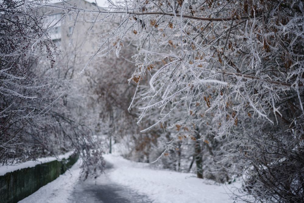 Photograph by Елена Маслова