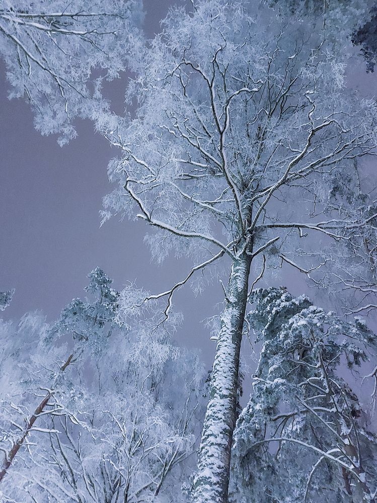 Photograph by Татьяна Олефиренко