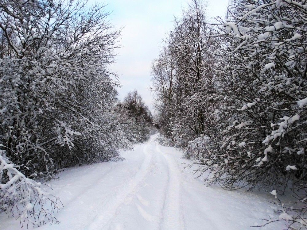 Photograph by ILONA OTRUTSKAYA