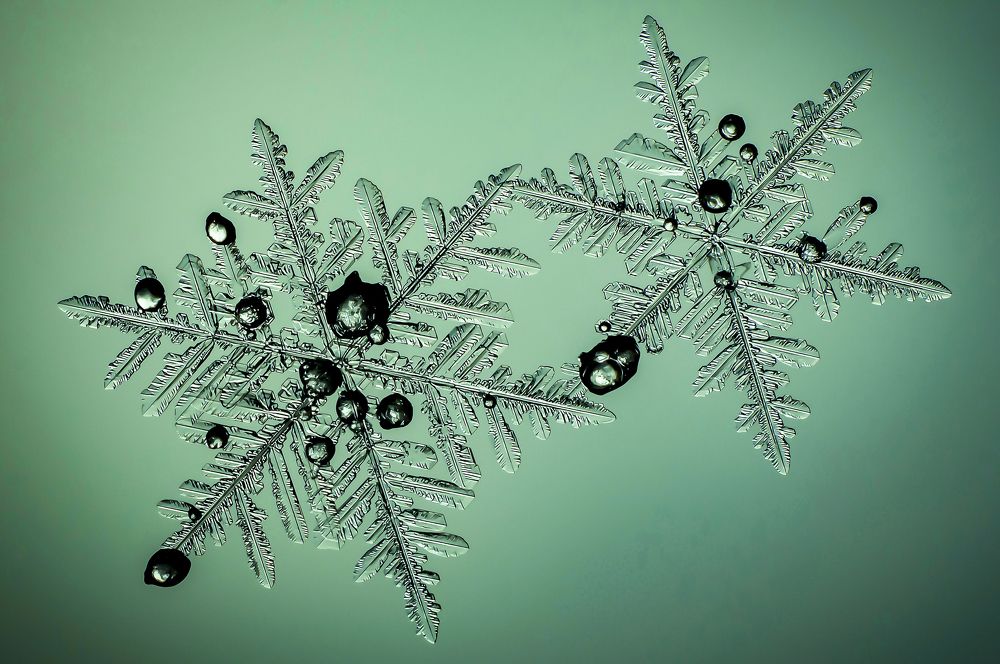 Photograph by андрей захаров