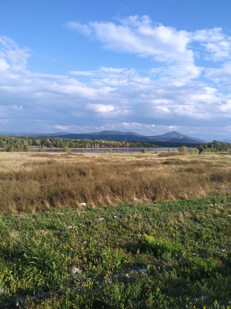 Photograph by Дарья