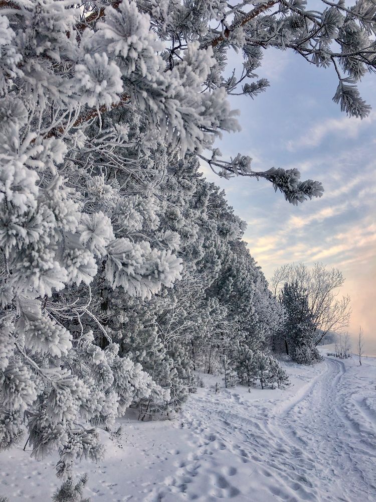 Photograph by Светлана Дмитриева