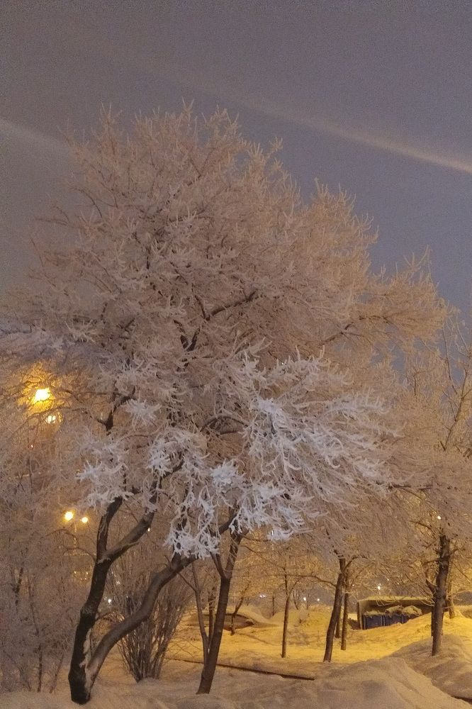 Крепко держится снежок