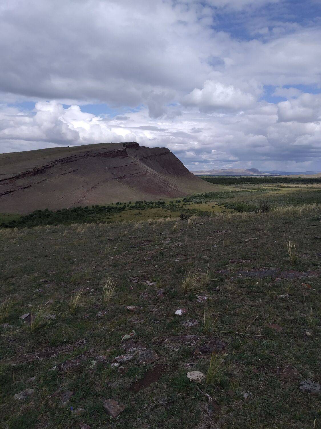 Photo #8754618