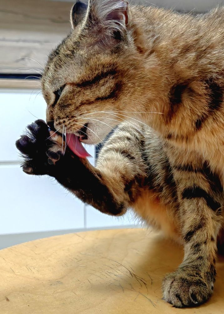 Photograph by Natalya Guseva