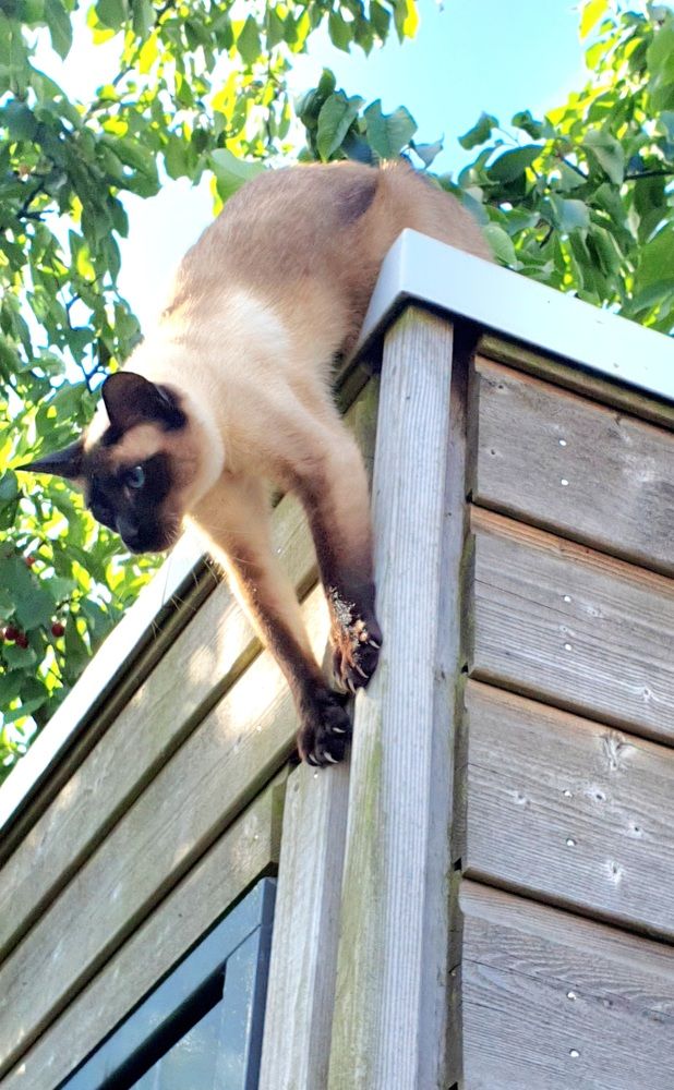 Photograph by Ghazal Ardeshirzadeh