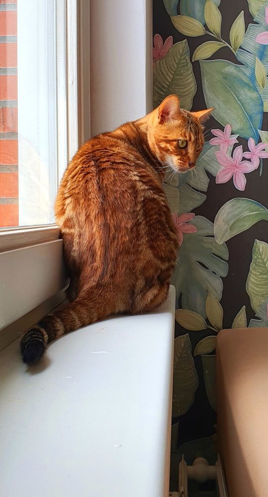 Photograph by Ghazal Ardeshirzadeh