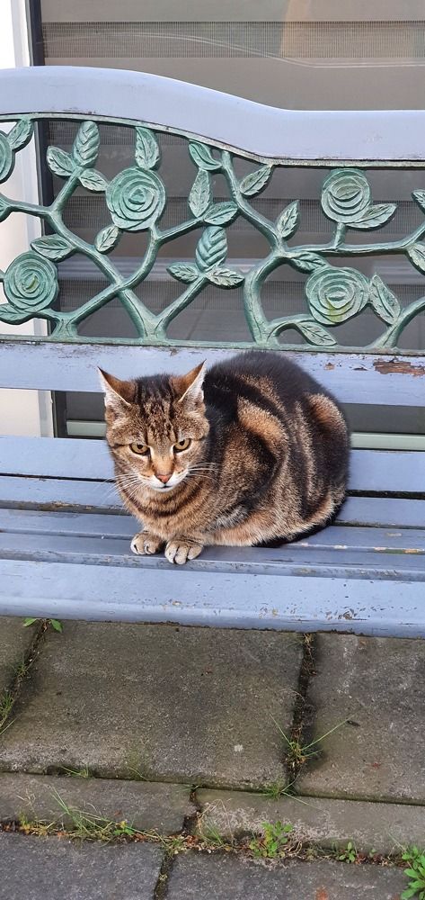 Photograph by Ghazal Ardeshirzadeh