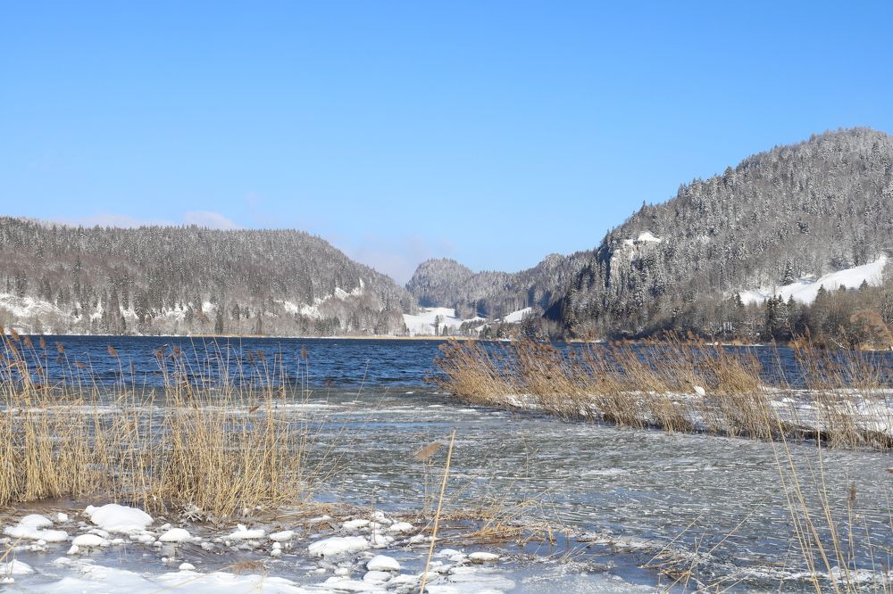 Photograph by Ilia Chkolnik