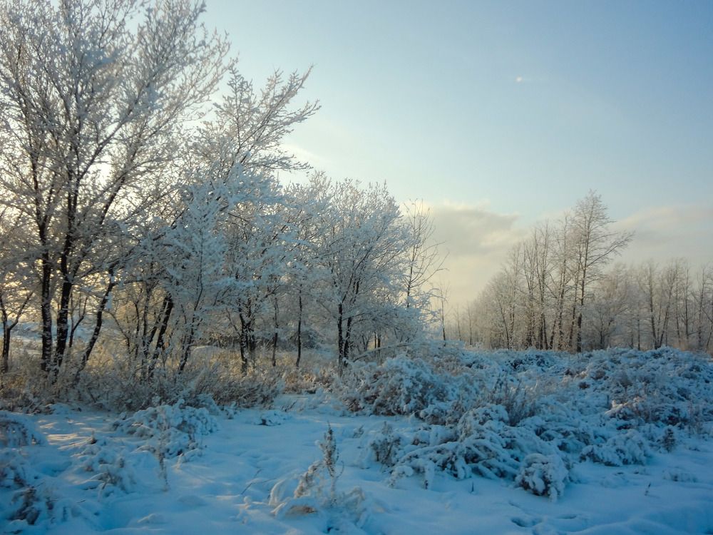 Photograph by DARIA DEMINA