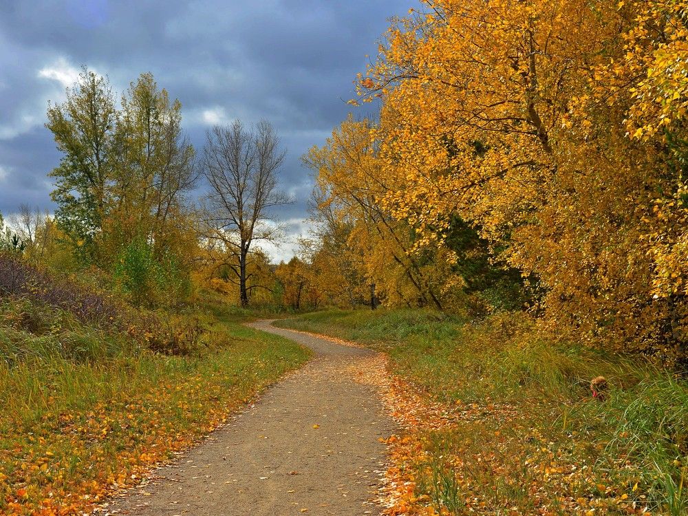 Photograph by Людмила