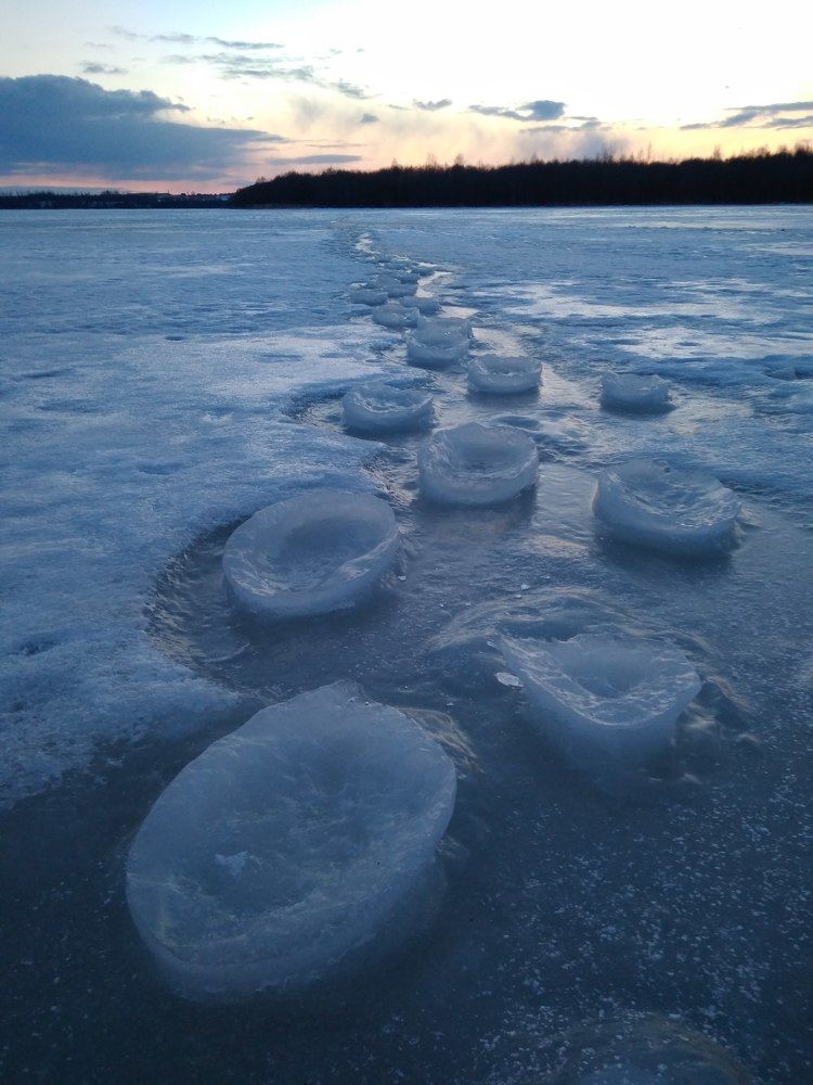 Photo #8754707